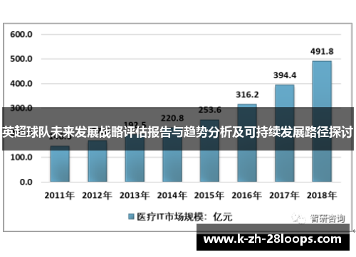 英超球队未来发展战略评估报告与趋势分析及可持续发展路径探讨