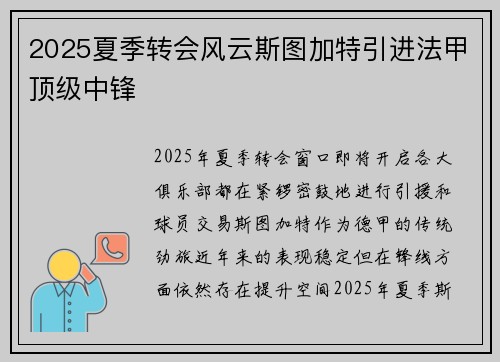 2025夏季转会风云斯图加特引进法甲顶级中锋